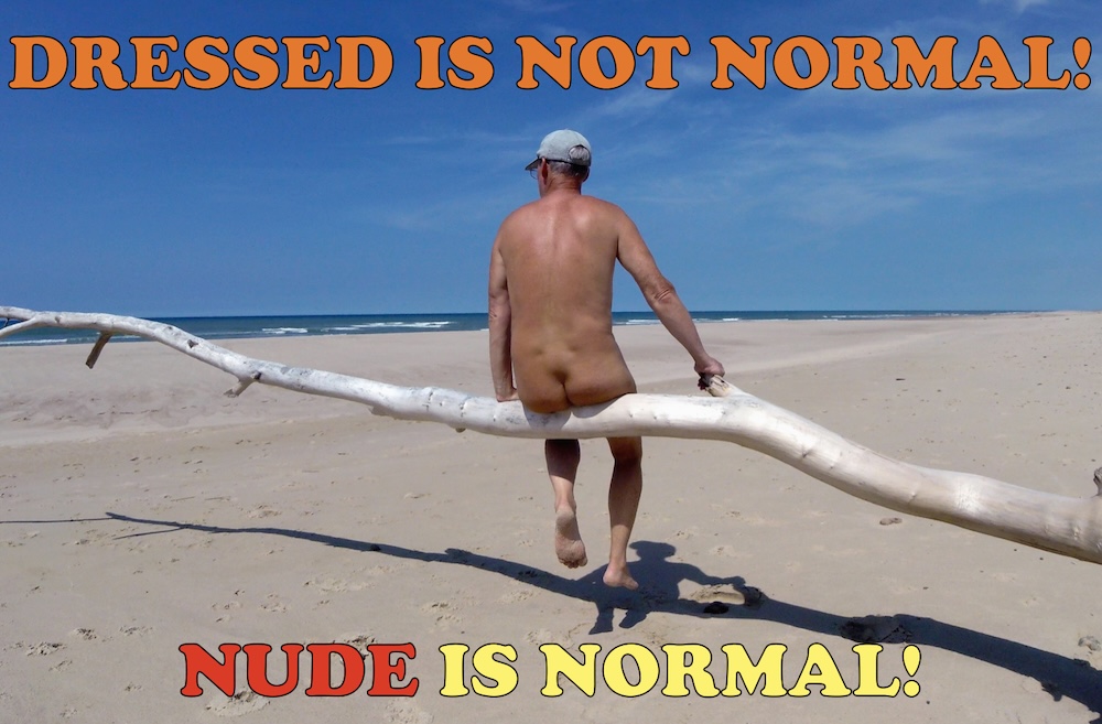 Sitting on a branch by the sea, nude rear view